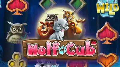 wolf cub